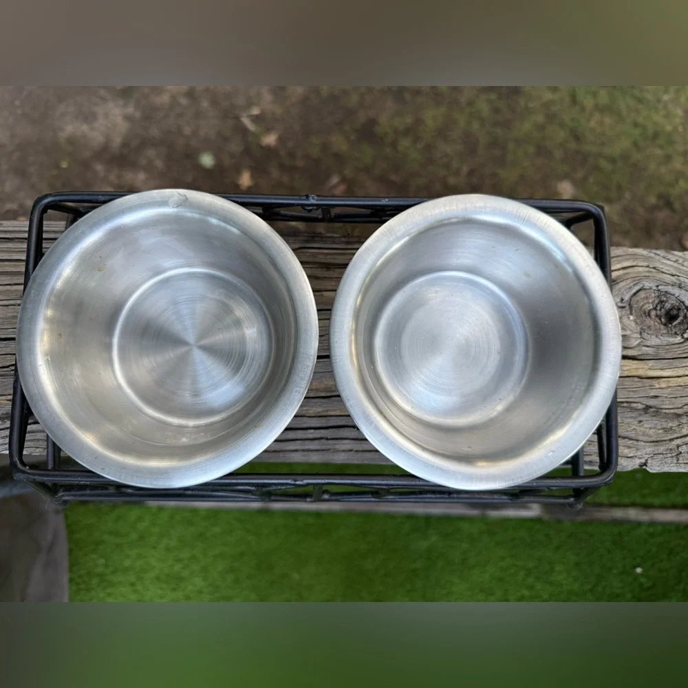 Stainless Steel Pet Bowl Set with Black Stand